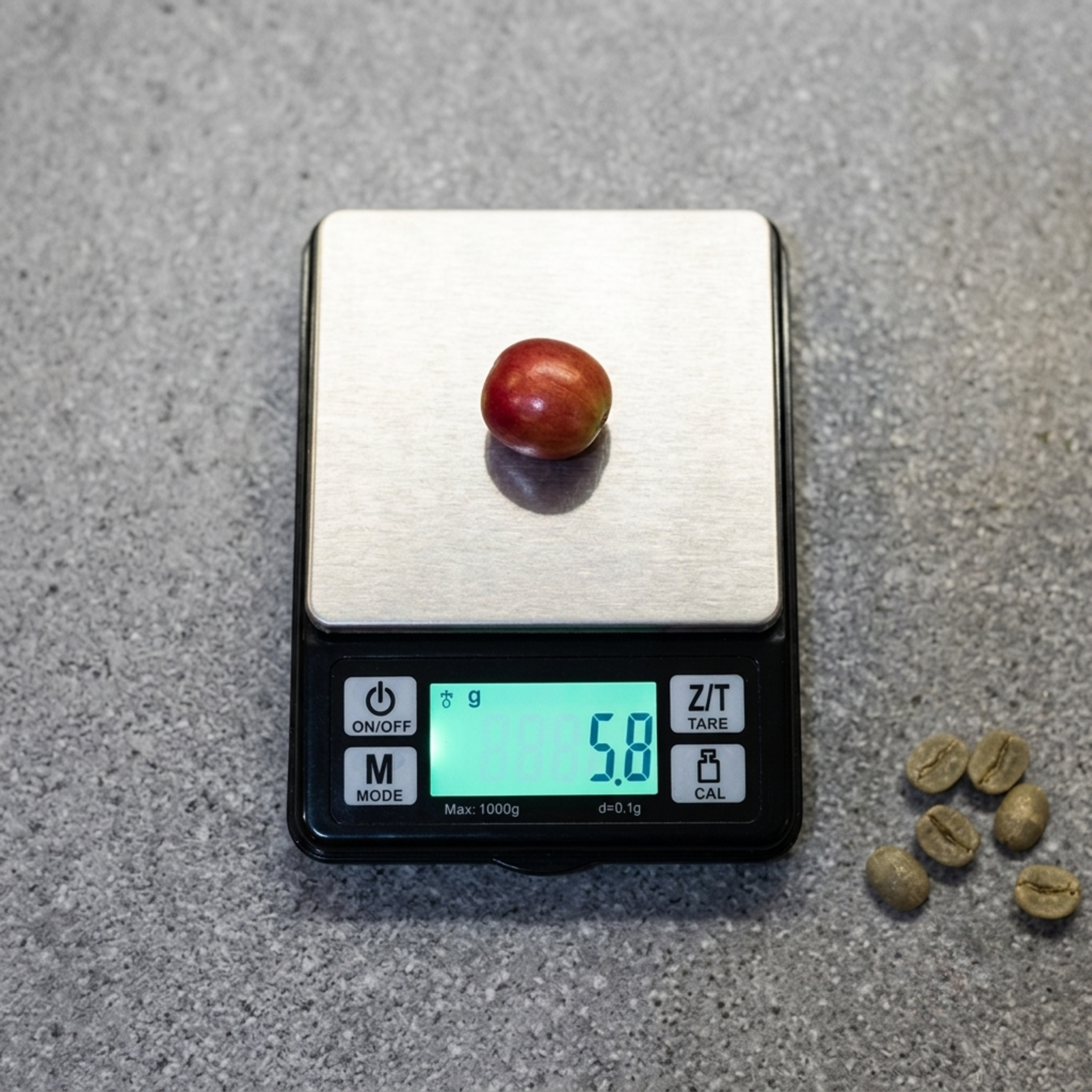 Rhino Dose Scale